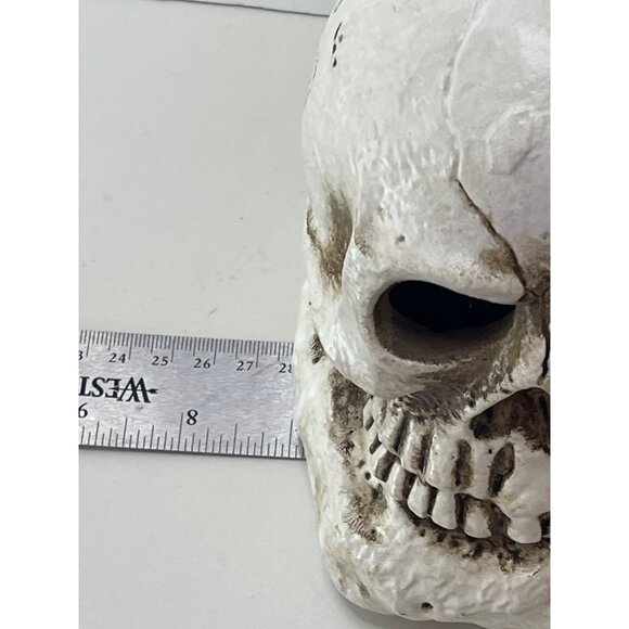 13Th & Elm LED Flickering Skull Candle Holder Light-Up Halloween Large New - Picture 11 of 11